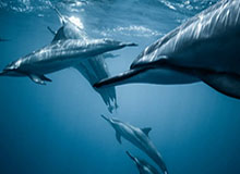 江南体育-凉山队射手王徐元绩喊话家乡球迷继续加油